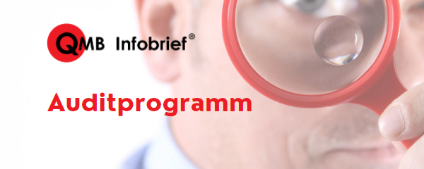 Auditprogramm